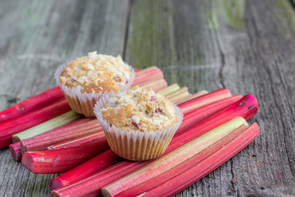 muffin à la rhubarbe